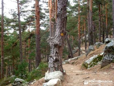 Siete Picos:Senda Herreros,Camino Schmid(Schmidt); clubs en madrid; club de montañismo madrid;sende